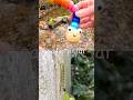 Kids Learn | Bug Insect Names at the Waterfall: Caterpillar Millipede Rhino Beetle Fly Snail