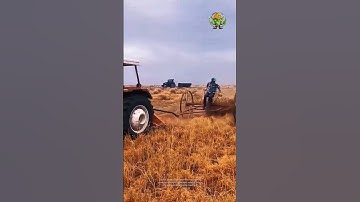 Historic Straw Collection Method: Good Tools and Machinery Increase Work Efficiency.