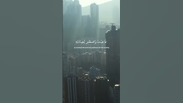 القرآن الكريم (سورة مريم) القارئ عبدالرحمن مسعد