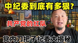 老王来了：中纪委到底有多狠？| 党内的刀把子 | 真实纪委大揭秘 |
