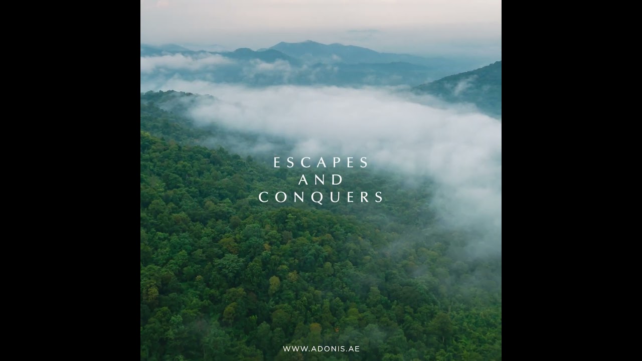 Fantasy | Citrus Aromatic fragrance for men.