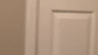 Classic 866 sqft apartment