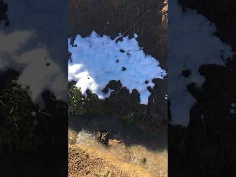   صدای آب روان برای تمدد اعصاب و پاک سازی ذهن روز خود را با آرامش و صدای آب شروع کنید