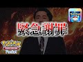 【速報】緊急謝罪。【ポケポケ】