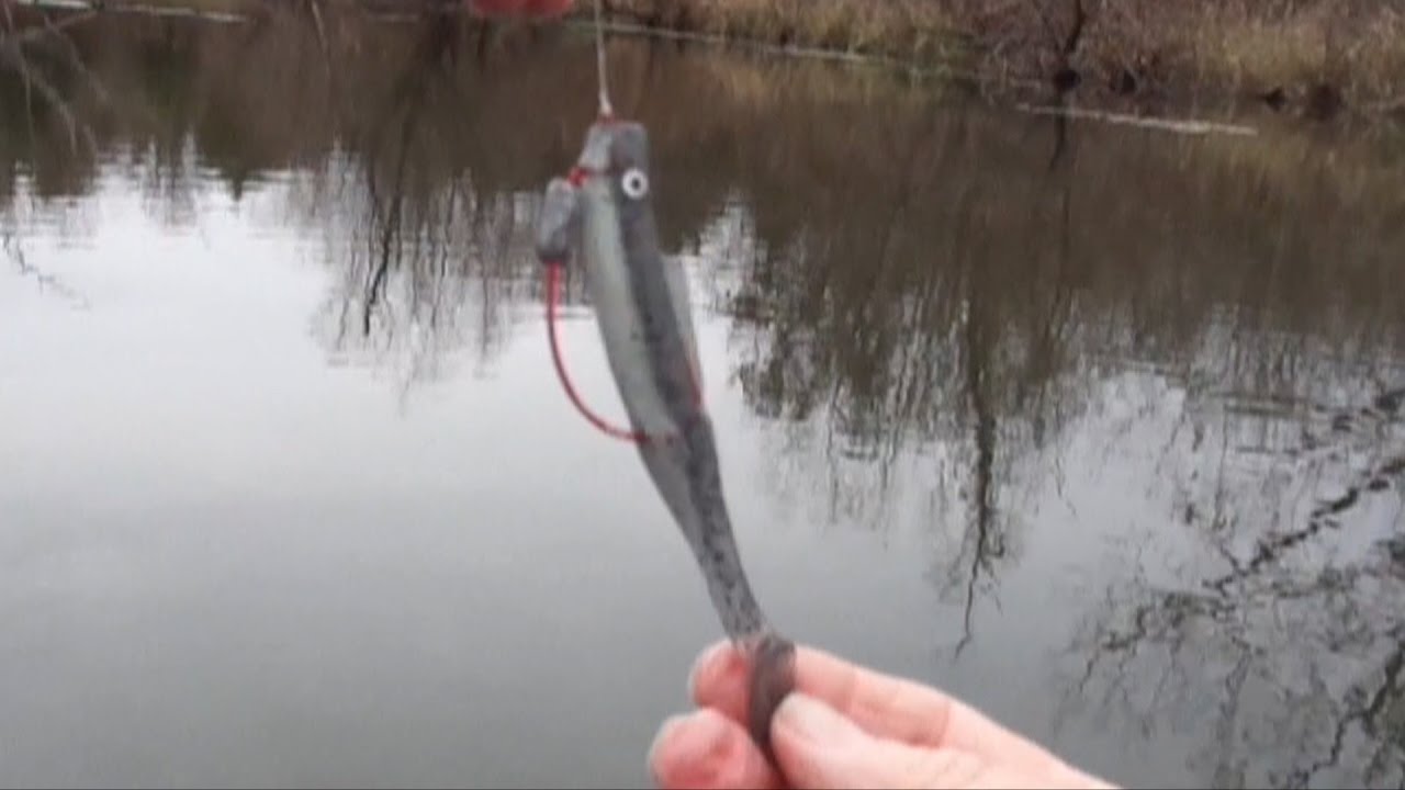 RED HOT 4 Z-Man DieZel MinnowZ Swim Baits for Cold Water Bass 