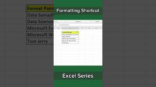 Format Painter ki Shortcut Key🔐#excel#dataanlysis#yt#exceltips#shortsfeed#shorts#viral#shortviral