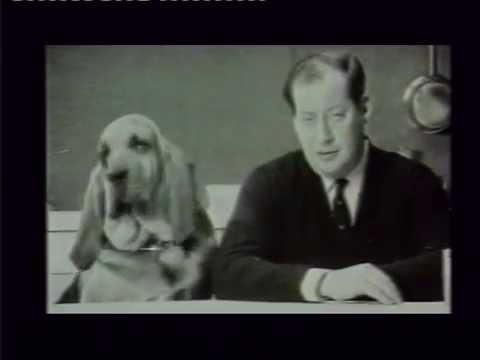 Sir Clement Freud 1924 2009 With His Famous Dog Food Advert Featuring Henry The You Dog Food Advert Featuring Henry The