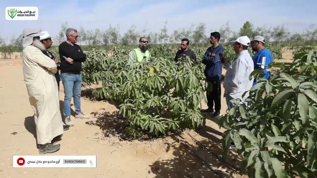 شاهد انبهار الوفد العُماني بمشروعات نبع الخيرات وإشادتهم بقوة المشروع والتنظيم