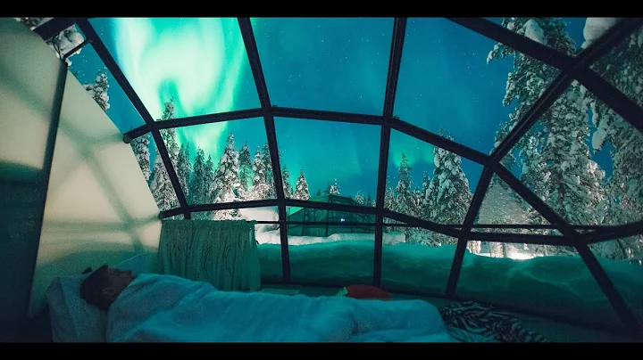 Arctic Digital Detox