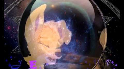 Animash MEP - Part 4