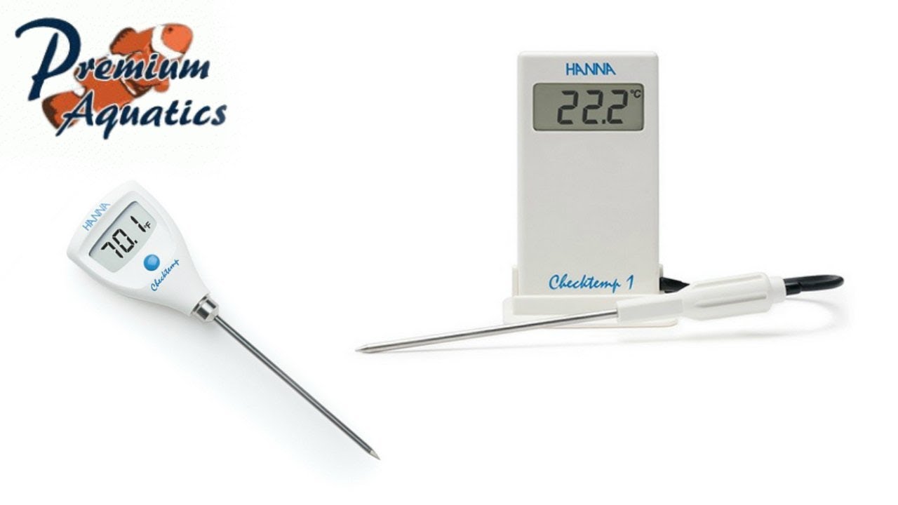 Checktemp Digital Thermometer HI98501