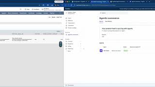 Make Your NetSuite Item Catalog Discoverable for AI Agents | Stripe Agentic Commerce