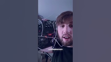 why DAWLESS is dying. #musicproducer #dawless #electronicmusic #ableton