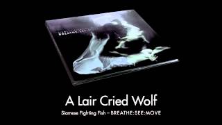 Siamese Fighting Fish - A Liar Cried Wolf
