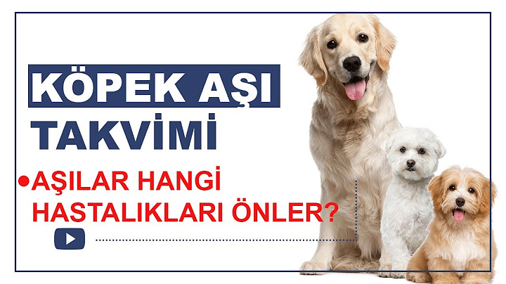 Iç dış parazit aşısı kedi fiyat 2022