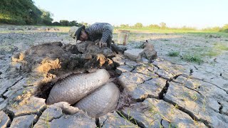 Dry Day| Best Dry Season& Catching a lot of Snake Fish in Underground By Fishes Skill| Home Fishing