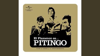 Video thumbnail of "Pitingo - El Molilo (Alegrias)"