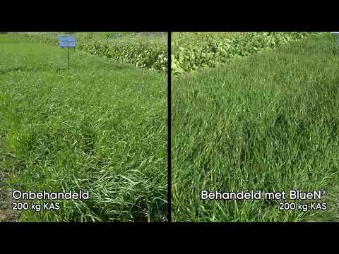 Miniatuur van productvideo