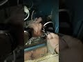 Boiler REPAIRS: What's WRONG with this Combustion Chamber? #shorts