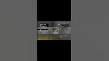 Every Camo in Call of Duty Modern Warfare 2!!