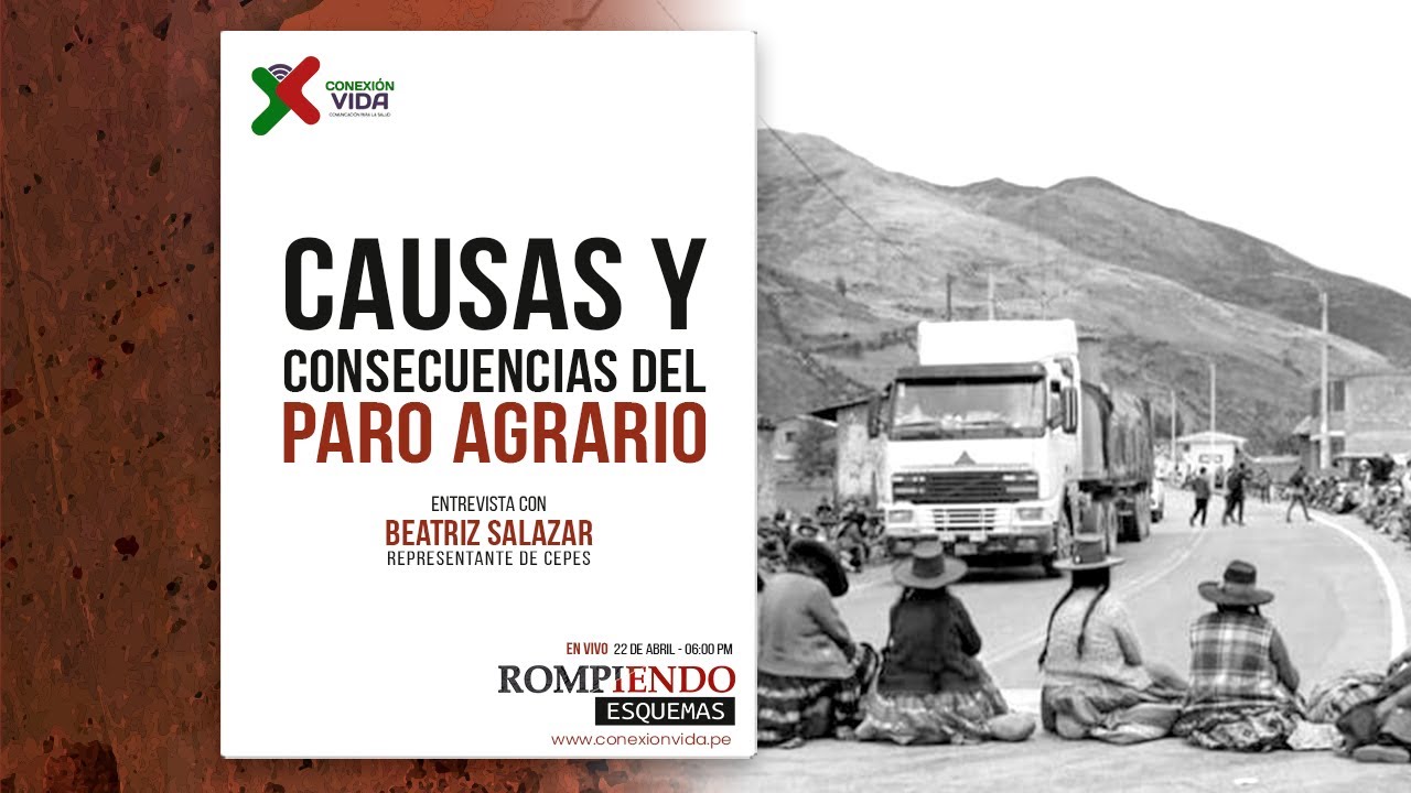 CAUSAS Y CONSECUENCIAS DEL PARO AGRARIO EN EL PERÚ - YouTube