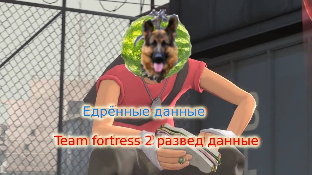Едрённые данные. Team fortress 2 развед данные