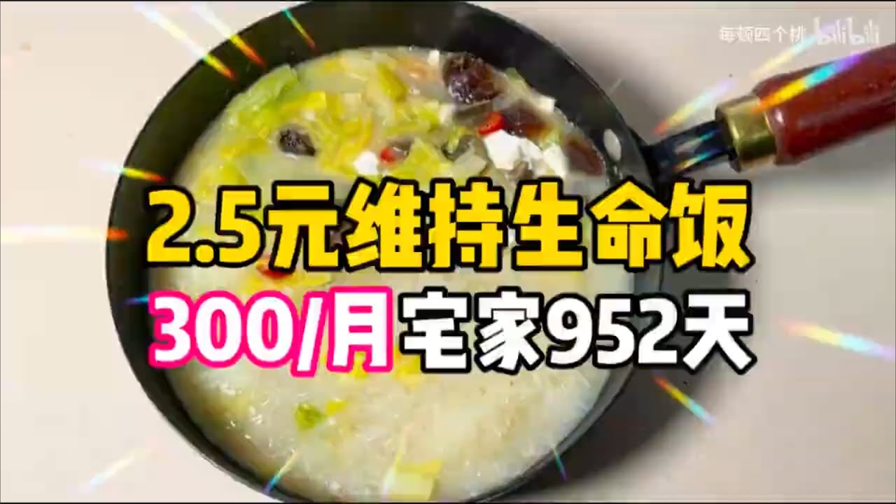 2.5元生命维持餐！95女生不上班952天！今天吃上汤粉 娃娃菜～