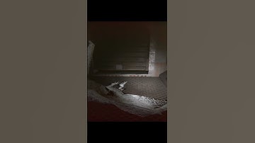 Just a little glitch fix!