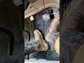 Dirty Jobs #shorts