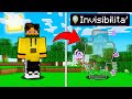 MINECRAFT MA SE TI ACCOVACCI SEI INVISIBILE A TUTTI - ITA