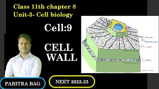 Cell-9|Cell wall | Desh ki Shiksha| Pabitra Bag| NEET 2022-23 | screenshot 5