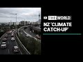 New Zealand's new measures to cut carbon emissions and achieve 2050 climate goals | The World