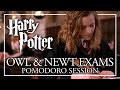 ✏️HOGWARTS EXAMS AMBIENCE✏️ Harry Potter Pomodoro Session - OWL & NEWT Ambience Harry Potter ASMR