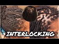 Interlocking Locs | How I Interlock My Locs