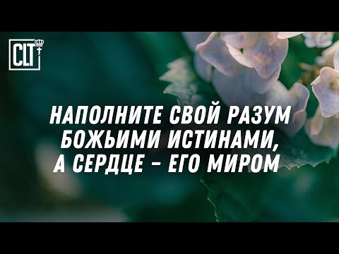 Оставаться стойкими в