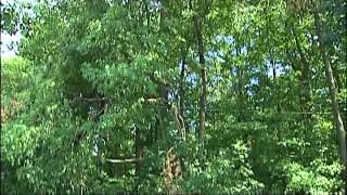 AEP Rate Hike Approved