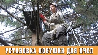 Ловушка для пчел. Установка