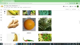 Image classification model using Tensorflow and Keras