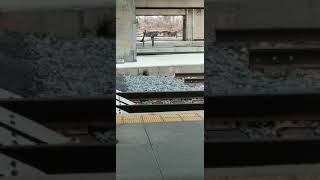 NS 193 & NS 8152 Empty intermodal Flat cars
