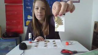 Wednesday 11/18 Skills: Turkey Shapes