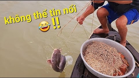 Bắt Được Con Cá Lăng Theo Cách Mới Lạ, Ngày Giăng Câu Nhiều Bất Ngờ | #66TV #fishing