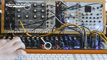 Analogue Solutions Generator - CV Step Sequencer