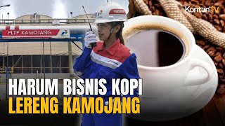 Menyeruput Harumnya Bisnis Kopi di Lereng Pegunungan Kamojang