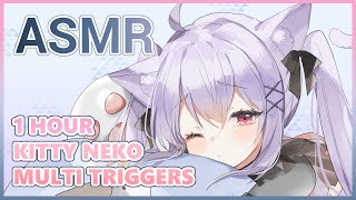 【Roleplay ASMR】 1 Hour of Kitty Neko & Assorted Triggers!