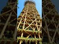 BAMBOO TREE HIGH RISE BUILDING || #shortsfeed #trendingshorts #bamboohouse #viral #viralvideo