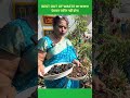 BEST OUT OF WASTE का खजाना देखकर यकीन नहीं होगा
