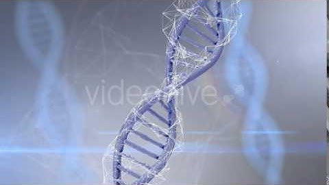 Plexus DNA preview 4
