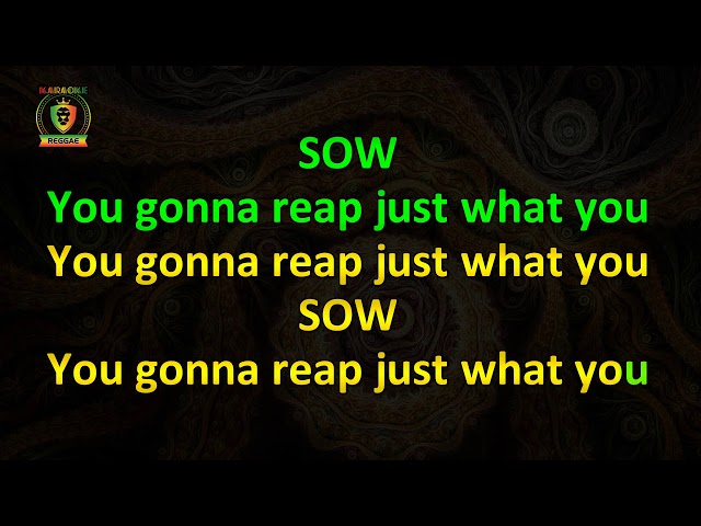 Lucky Dube - Reap What You Sow (Karaoke Version) class=