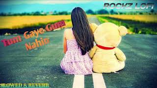 TUM GAYE GUM NAHIN | SLOWED & REVERB | #lofi #slowed #slowedandreverb #viralmusic Thumb