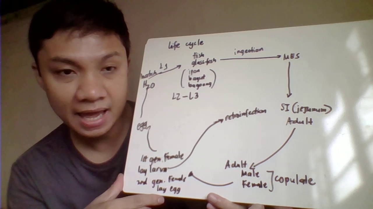 CAPILLARIA TRICHINELLA, HOOKWORM PART 1